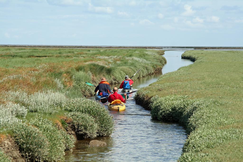 Waddenhoes Gastenverblijven Pieterburen Zewnętrze zdjęcie